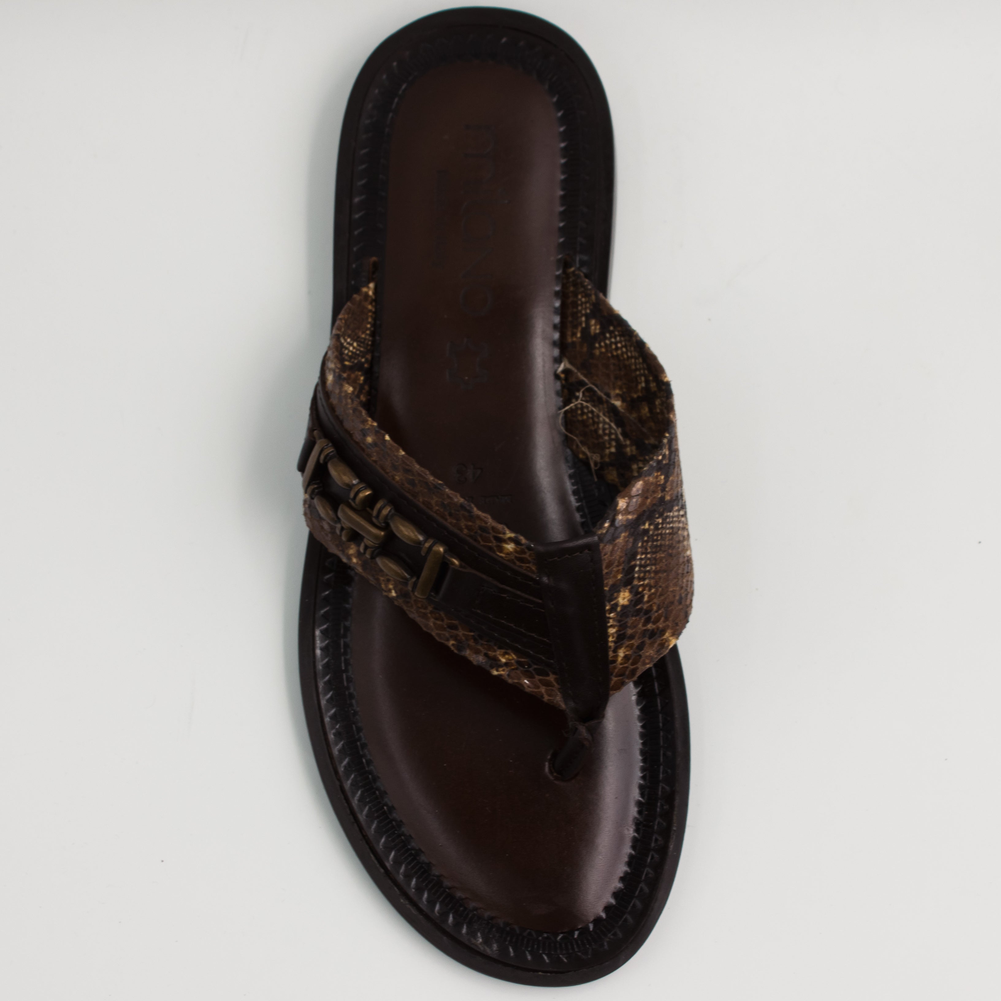 Brown/Snake Print Buckle Slipper